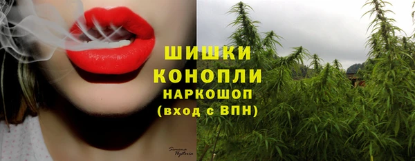 прущие грибы Армянск