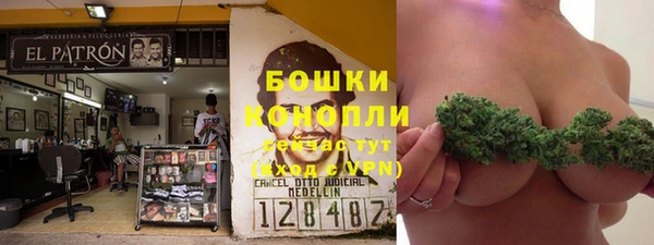 прущие грибы Армянск