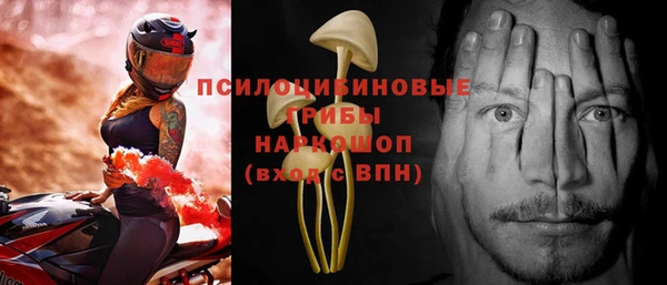 хмурый Арсеньев