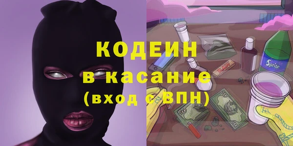 хмурый Арсеньев