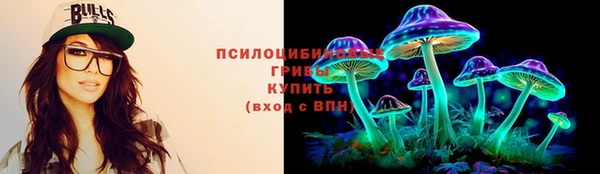 прущие грибы Армянск