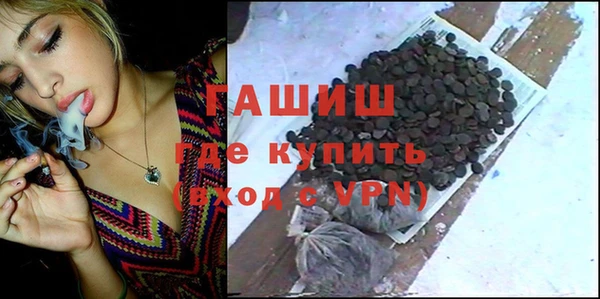 хмурый Арсеньев