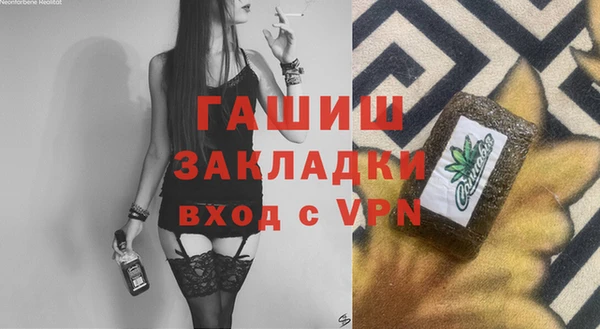 хмурый Арсеньев