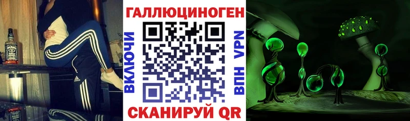Псилоцибиновые грибы Psilocybe  Тутаев 